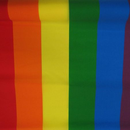 Bandera Arco Iris